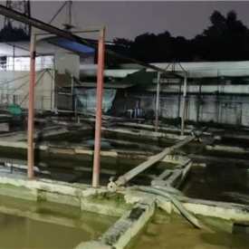 工廠展示